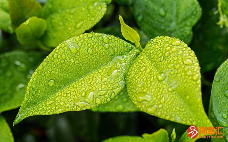 梦见水上突下暴风雨