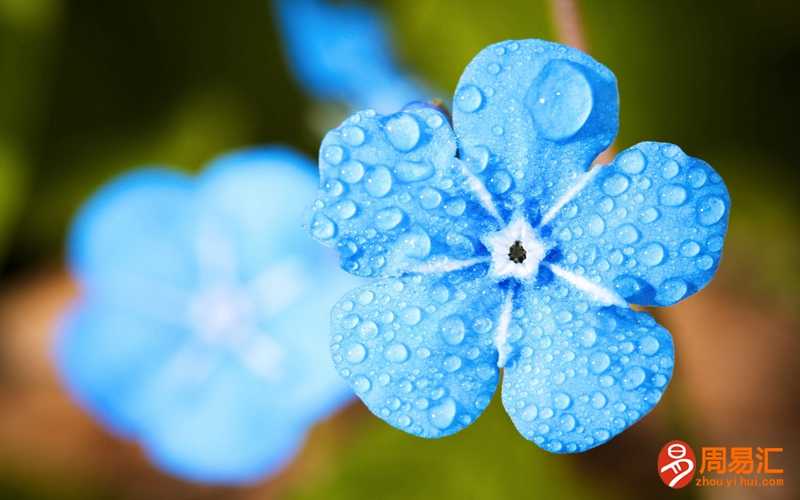 梦见雨会出太阳